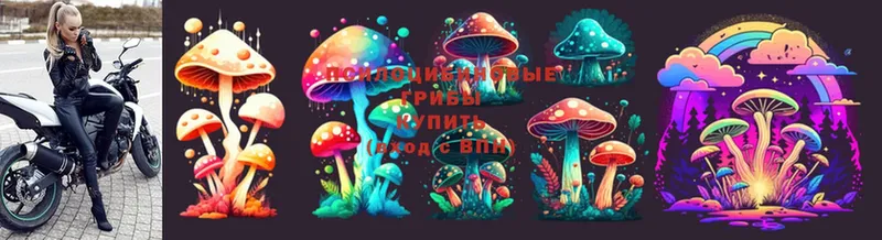 Псилоцибиновые грибы MAGIC MUSHROOMS  KRAKEN маркетплейс  Зерноград 